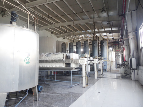 starch syrup processing equipment