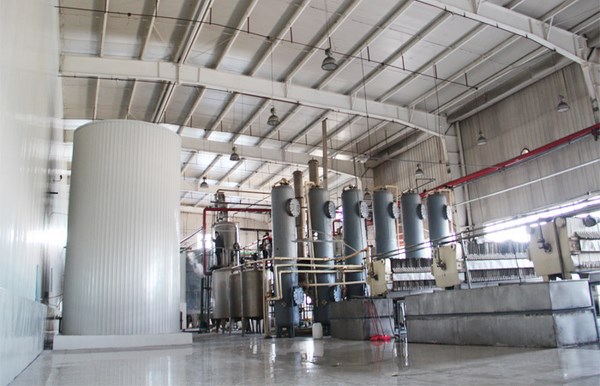 glucose syrup production plant